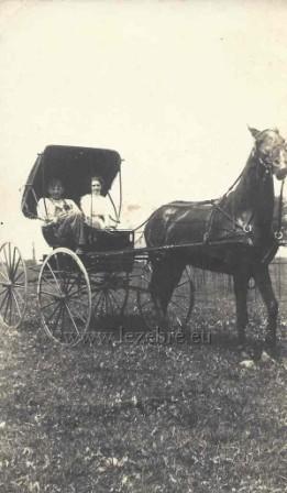 voiture hippomobile - horse carriage - buggy cart - Goshen IB circa 1890